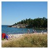 [Klicka p bilderna fr att frstora]